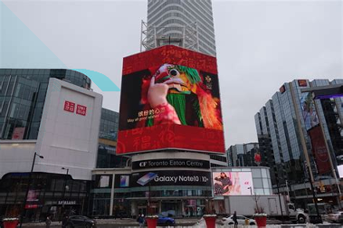 欢乐视频截图3