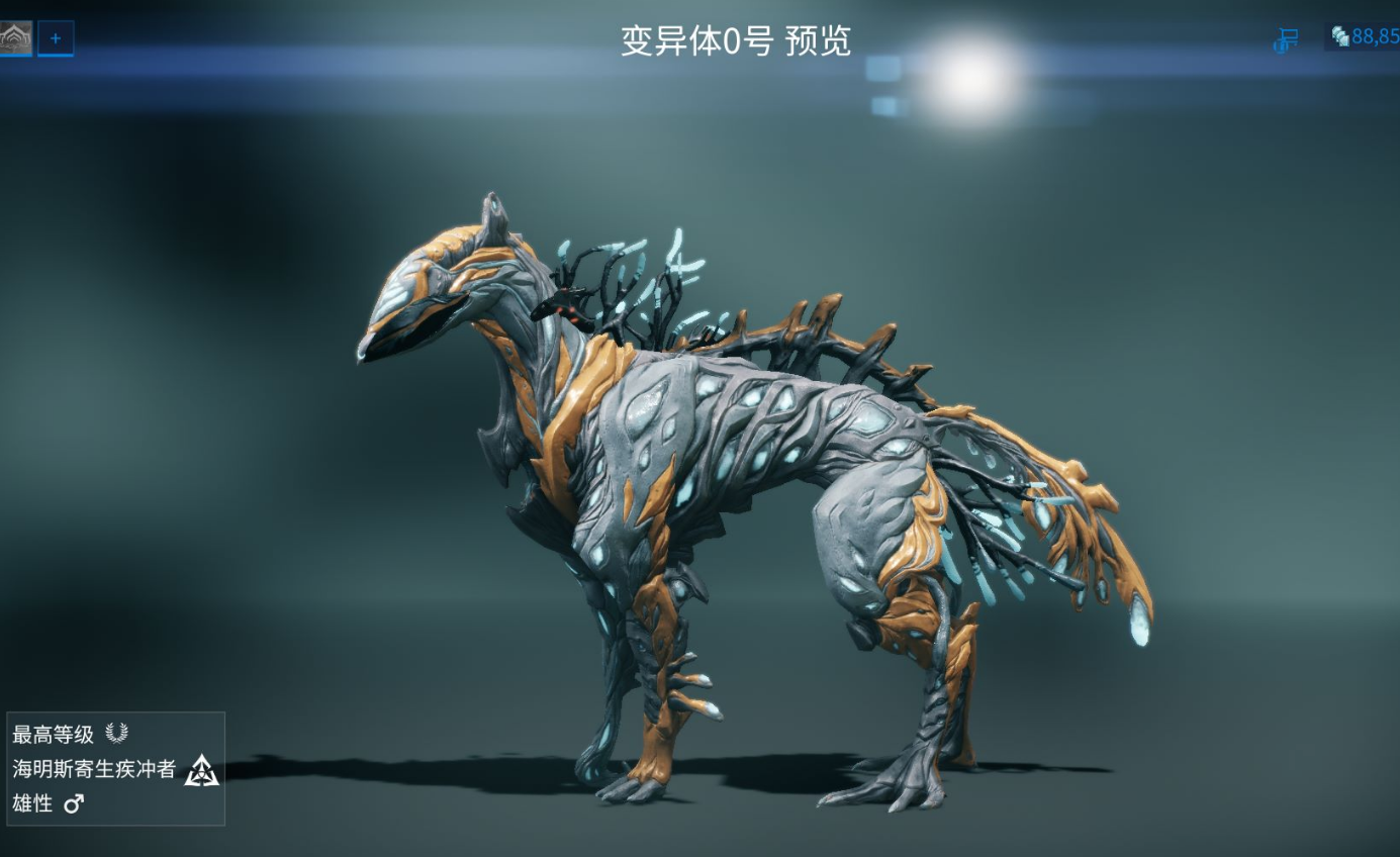 星际战甲噩梦卡有哪些必刷