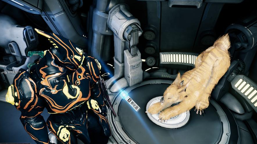 星际战甲噩梦卡有哪些必刷