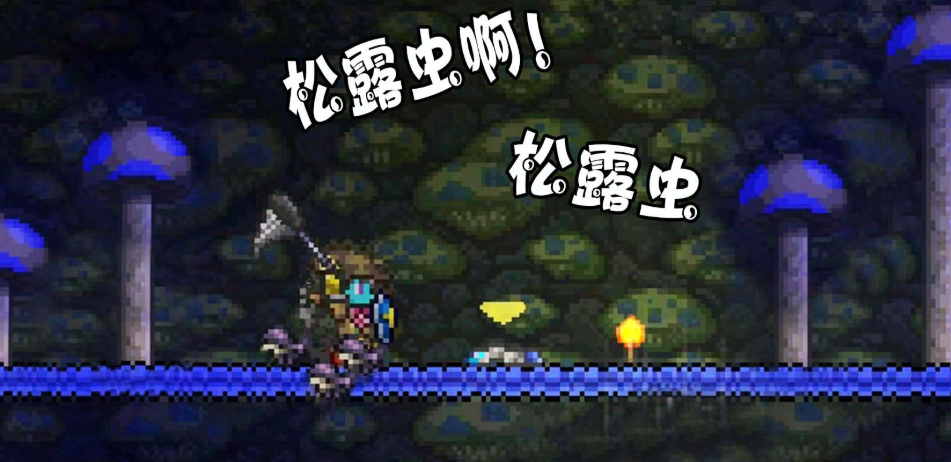 泰拉瑞亚灾厄松露虫怎么合成