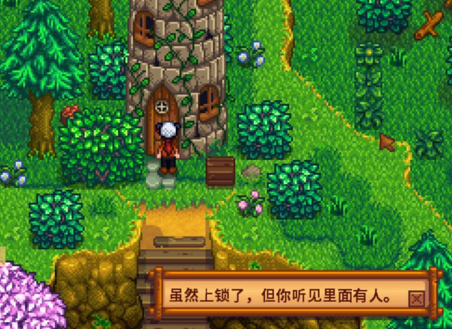 星露谷物语怎么进去法师塔