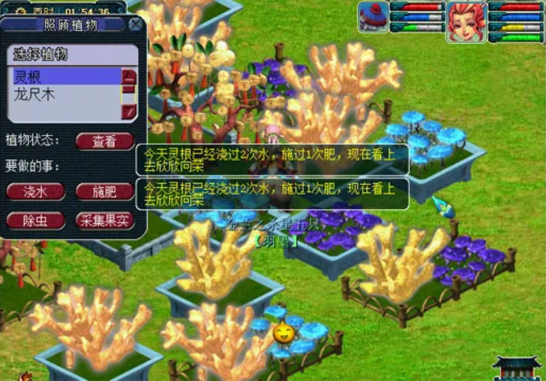 梦幻西游灵根怎么种 梦幻西游灵根怎么种