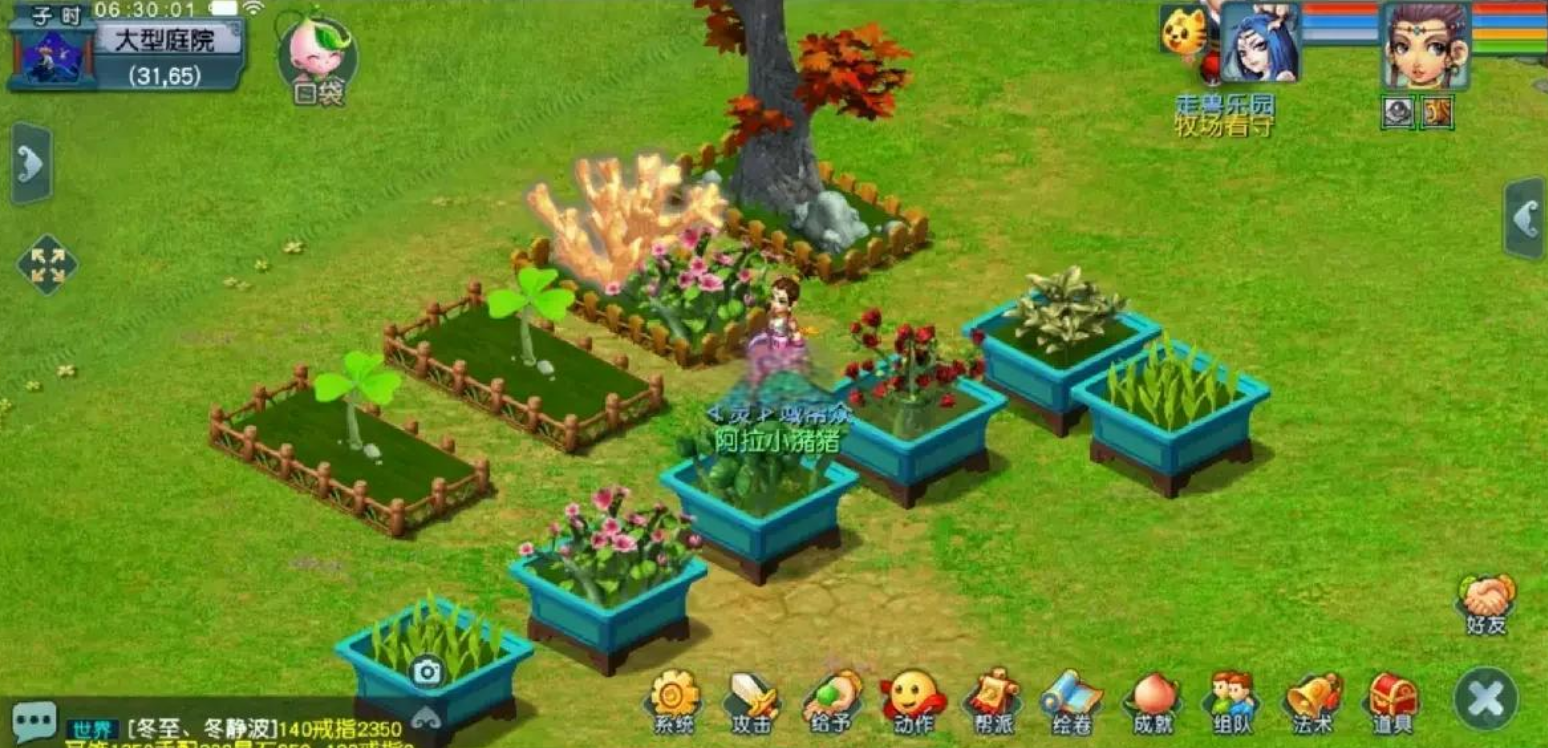 梦幻西游灵根怎么种 梦幻西游灵根怎么种