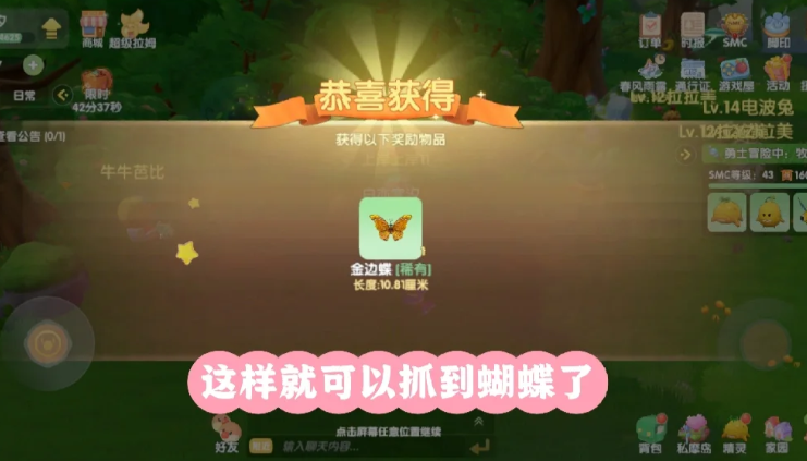 摩尔庄园怎么抓蝴蝶