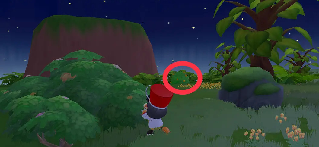 摩尔庄园橙色浆果怎么做