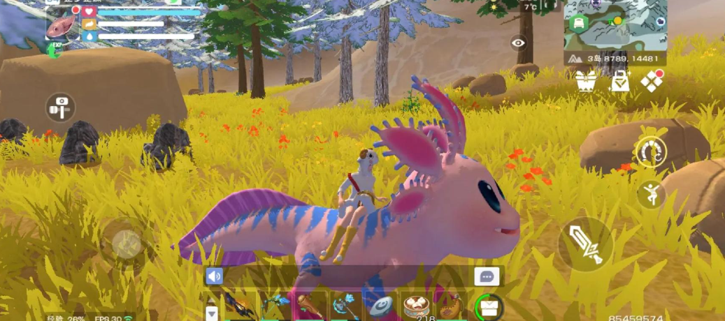 创造与魔法小蝾螈哪里最多 创造与魔法小蝾螈哪里最多