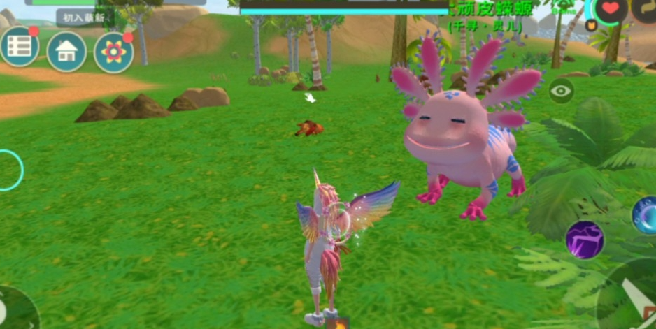 创造与魔法小蝾螈哪里最多