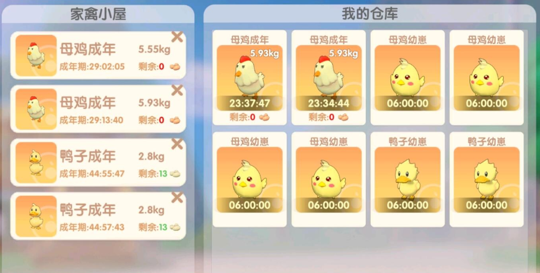 摩尔庄园怎么放鸡仔