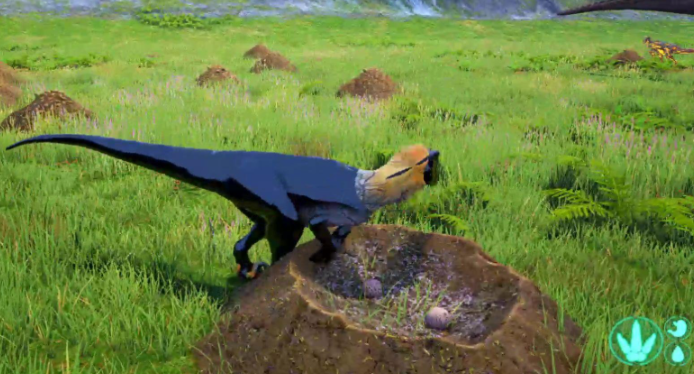 恐龙岛母龙怎么孵蛋