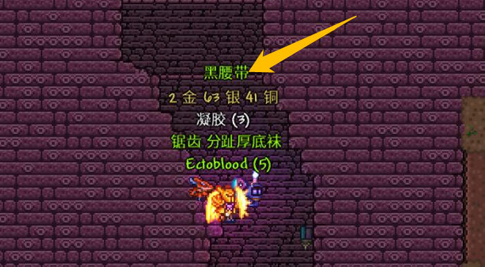 泰拉瑞亚工具腰带怎么玩 泰拉瑞亚工具腰带怎么玩