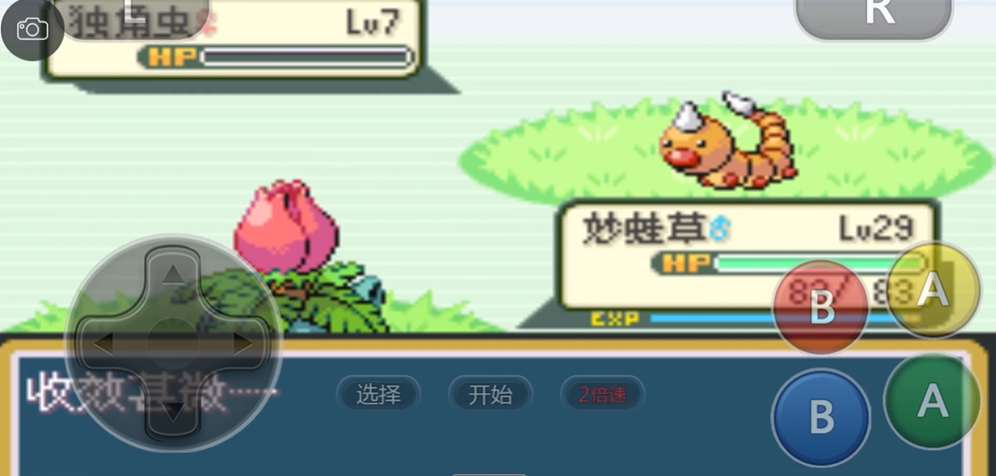 口袋妖怪火红疯狂植物怎么养