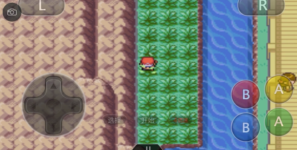 口袋妖怪火红疯狂植物怎么养