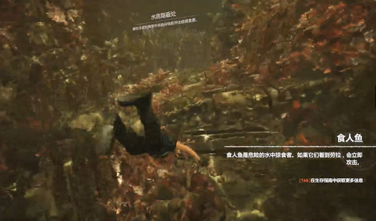 古墓丽影食人鱼怎么躲