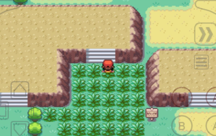 口袋妖怪火红打完华蓝道馆怎么走