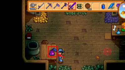 星露谷物语法师商店都有什么