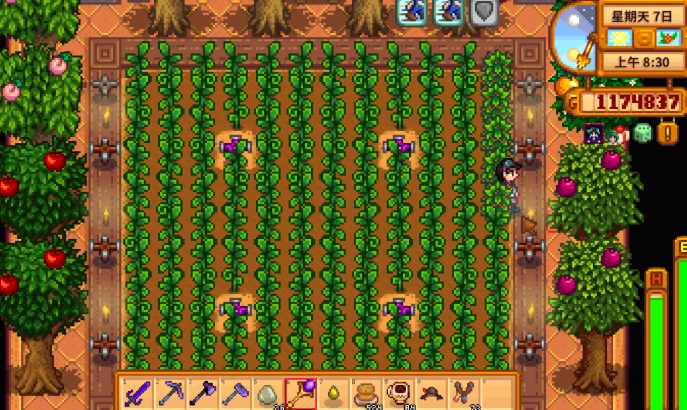 星露谷物语种什么树