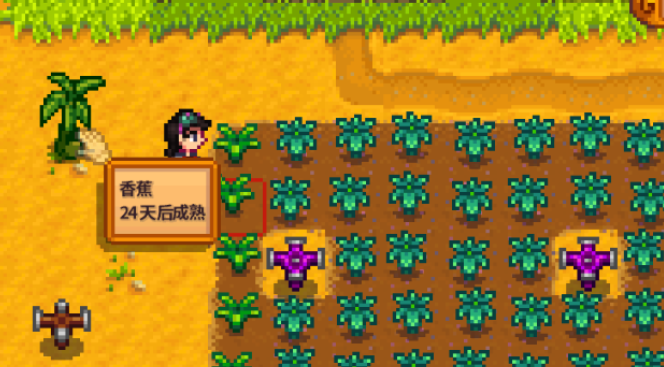 星露谷物语种什么树