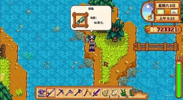 星露谷物语鲟鱼怎么钓