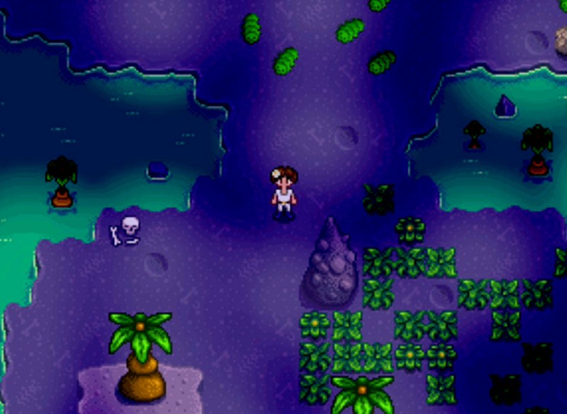 星露谷物语女巫任务怎么做