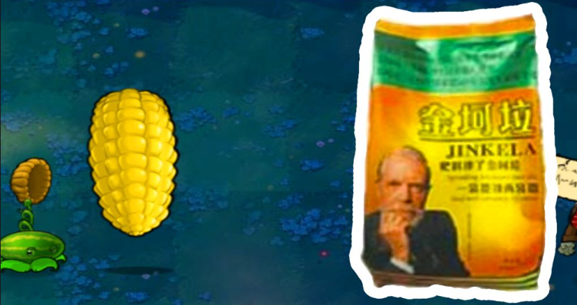 植物大战僵尸怎么用金坷垃