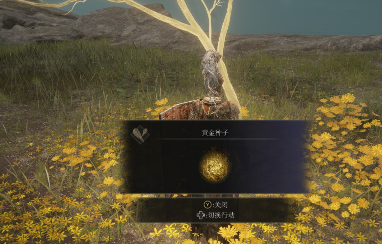 艾尔登法环观星者遗物推荐什么