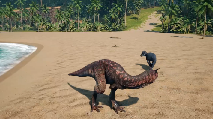 恐龙岛新手怎么玩 恐龙岛新手怎么玩