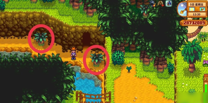 星露谷物语姜岛怎么过岩浆